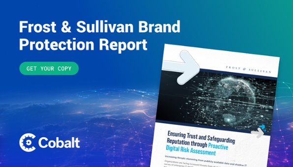 Frost & Sullivan Brand Protection Report