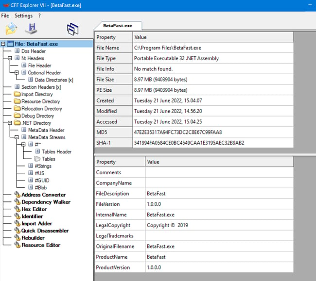 CFF-explorer-example